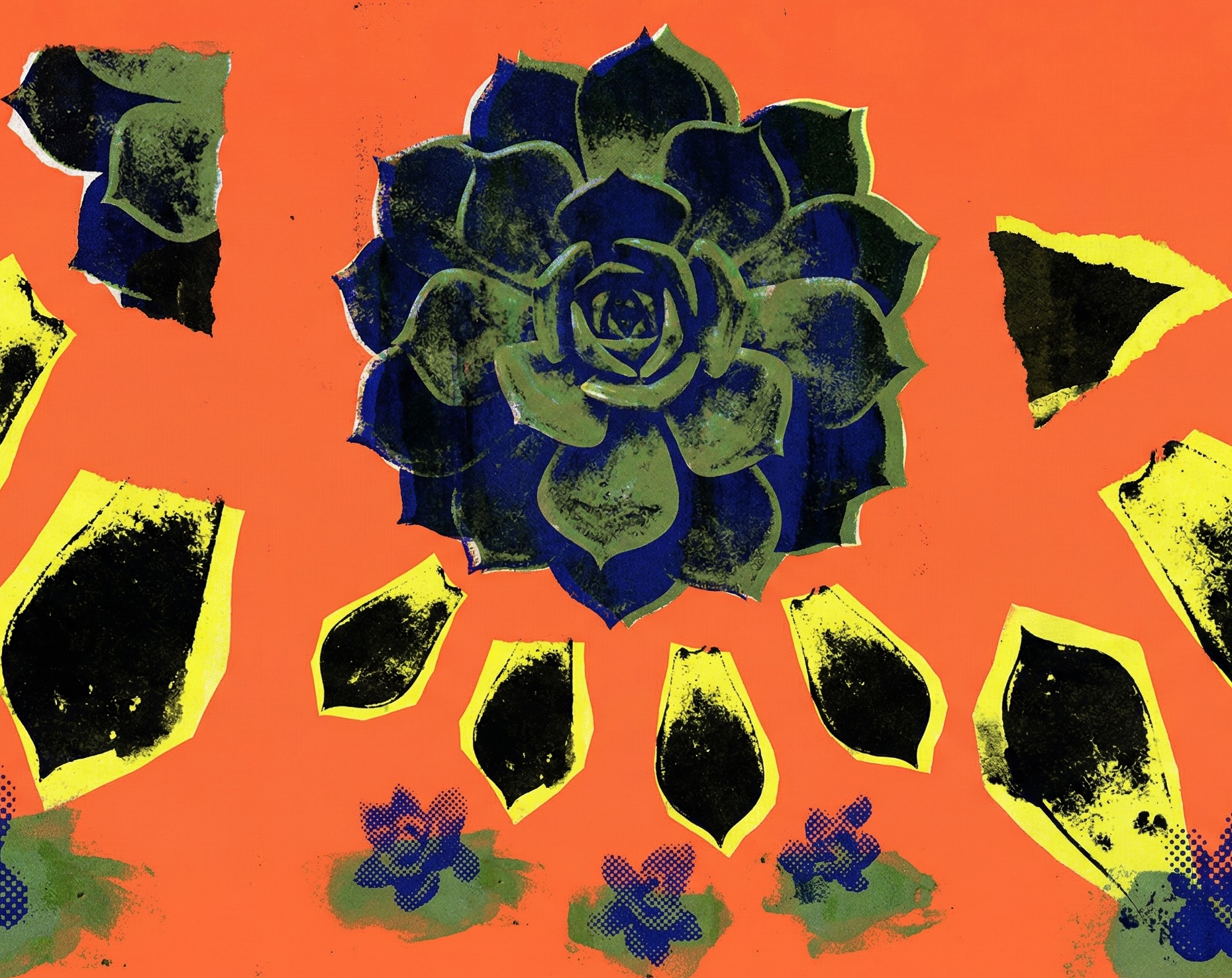 Echeveria succulent with propagation leaves showing new pups and pink roots